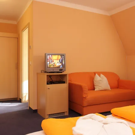 Hotel Linde Pfalz 3*