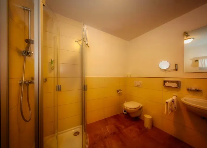 호텔 Linde Pfalz 3*